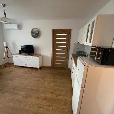 Srodmiescie 公寓 *