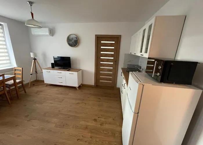 Srodmiescie Apartment *